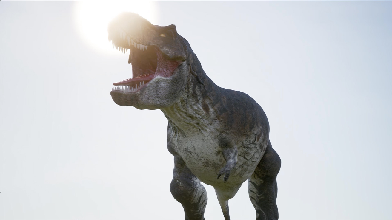 Picture of DigiZoo